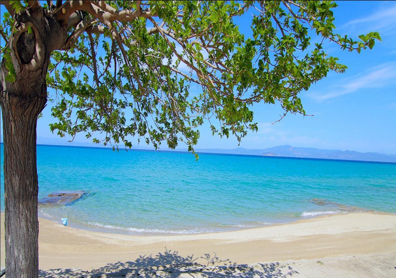 Kokkos Brothers Kallithea (Chalkidiki) Exterior foto